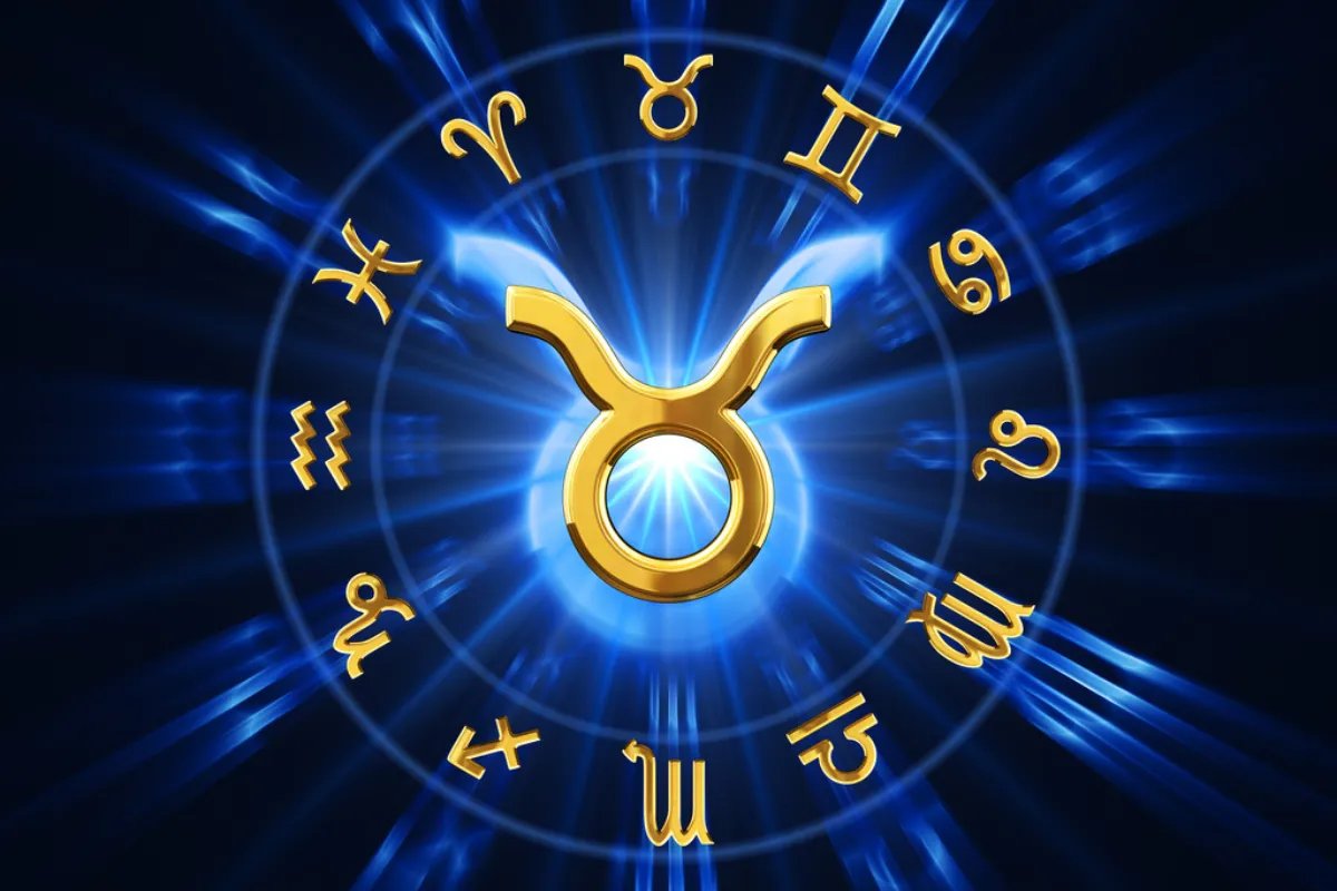 Boğa