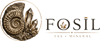 Fosil Tas Mineral